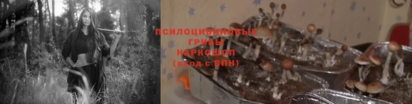 круглые Алексеевка