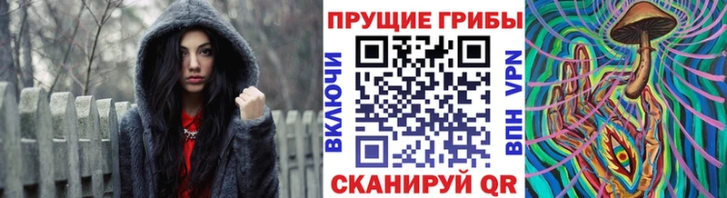 Псилоцибиновые грибы мухоморы  Стародуб 